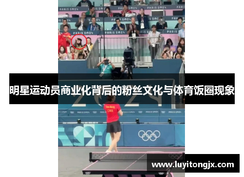 明星运动员商业化背后的粉丝文化与体育饭圈现象
