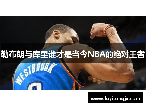 勒布朗与库里谁才是当今NBA的绝对王者