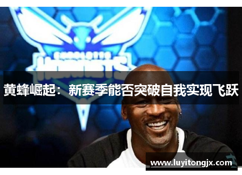 黄蜂崛起：新赛季能否突破自我实现飞跃